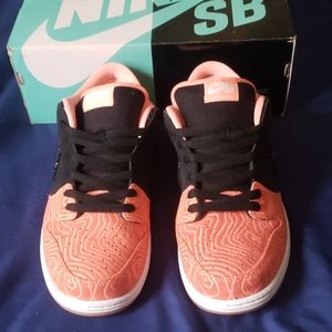 COPY - Sz.11.5 Nike salmon dunks SB
